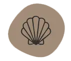 camino santiago